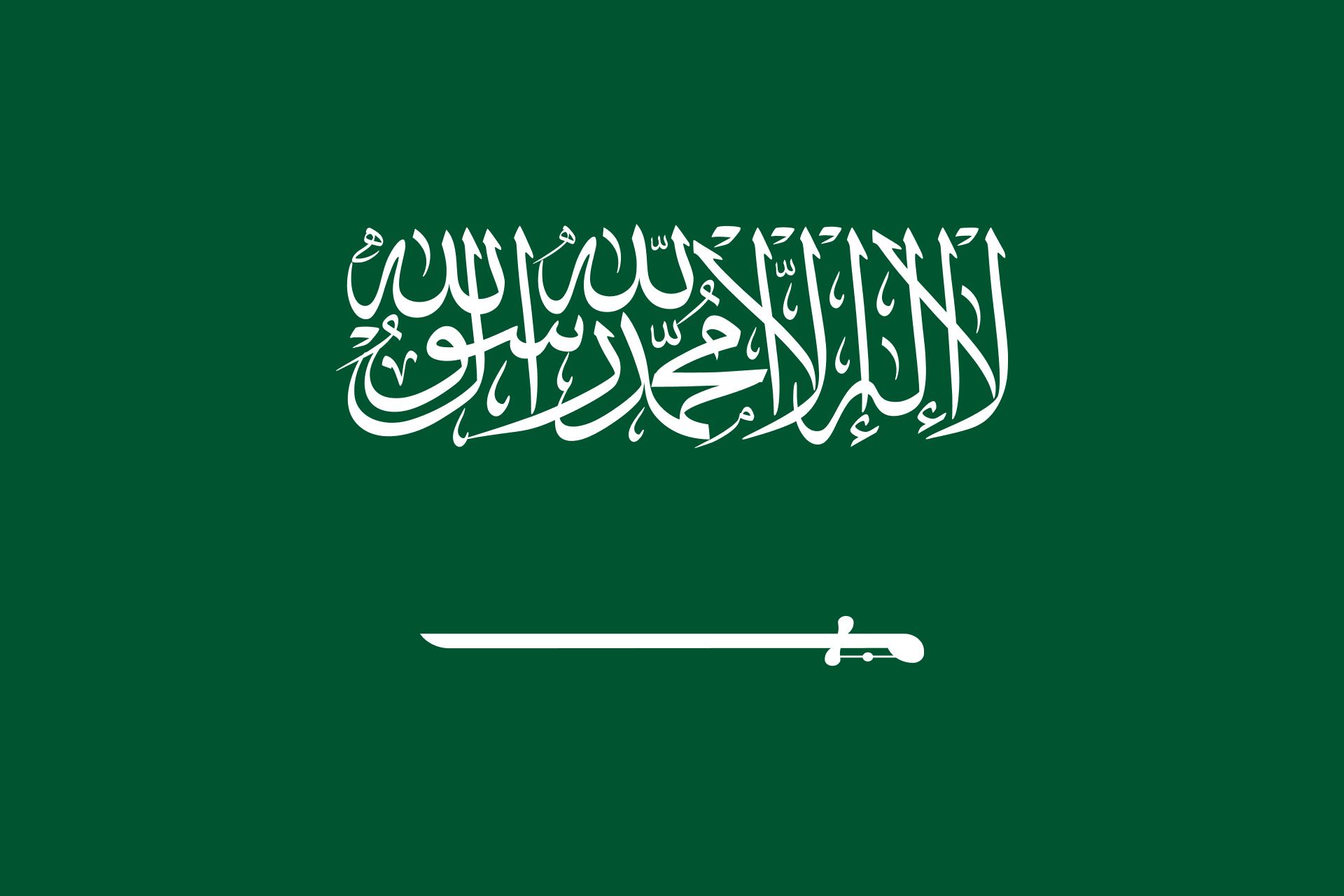 1770902182195-Flag_of_Saudi_Arabia.svg.png
